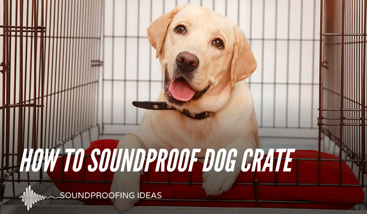 How To Soundproof Dog Crate